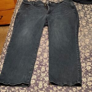 Lane Bryant Dark Wash Boot Cut Jeans